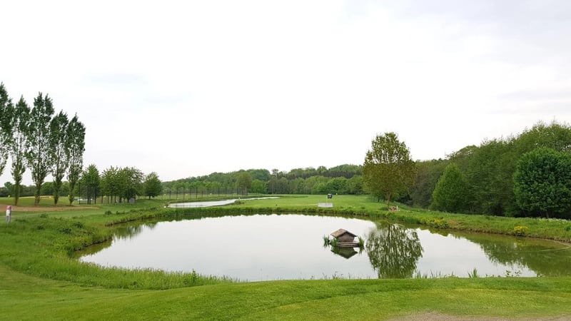 Artgerecht entlassen. Im GC Schönbuch wurde ein Molch in den Teich des 18. Loches entlassen. (Bildquelle: GC Schönbuch)