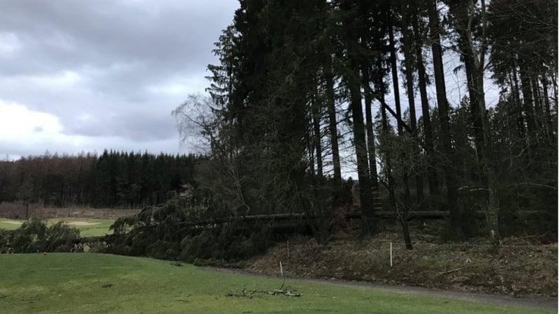 Derzeit ist der Golfplatz in Siegen-Olpe aufgrund von umgekippten Bäumen bis aufs Weitere gesperrt. (Bildquelle: GC Siegen-Olpe)