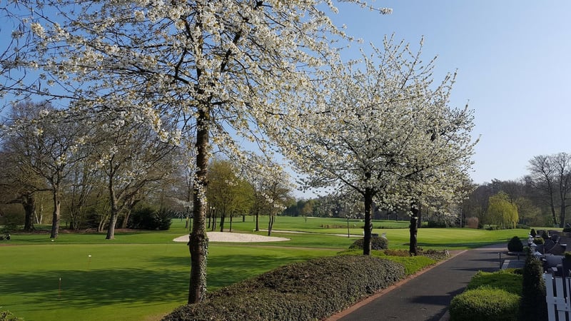 Der Golf- und Landclub Ahaus informiert seine Mitglieder gerne über die App. Schauen Sie rein! (Bildquelle: Golf- und Landclub Ahaus)