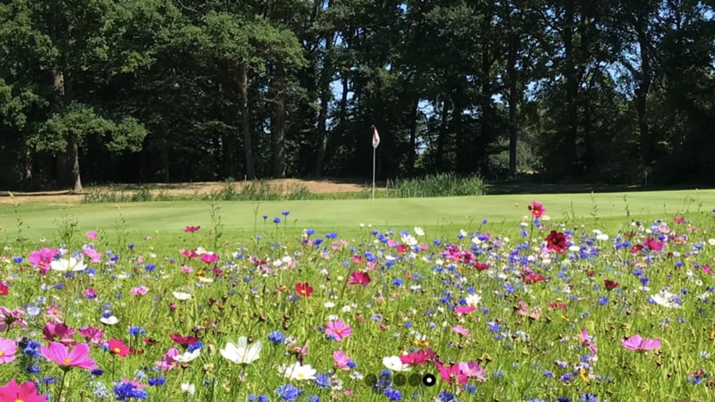 Der GC Marienfeld weist auf die aktuellen Platzregeln hin. (Bildquelle: GC Marienfeld)