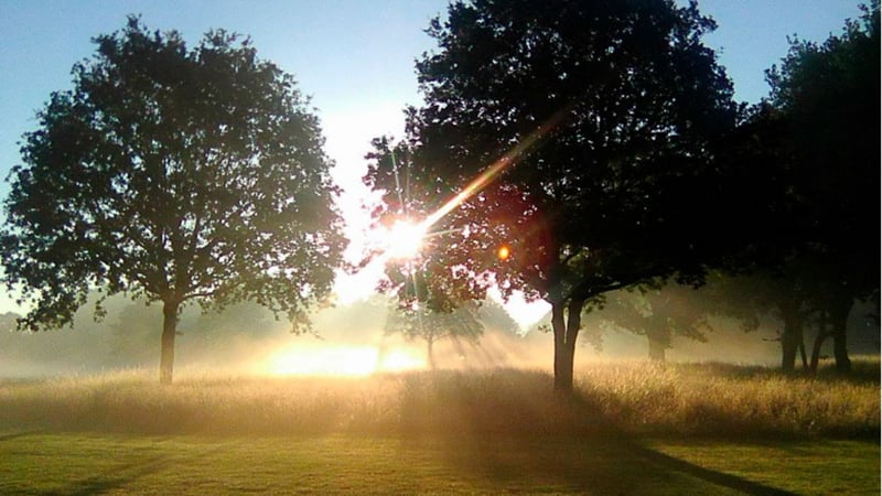 Sensationsfund im Oldenburgischen GC. Waren die Römer tatsächlich in Rastede? (Bildquelle: Oldenburgischer GC)