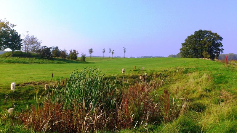 Beim Golfplatz Werne an der Lippe wurde vieles erneuert. (Foto: allsquaregolf)