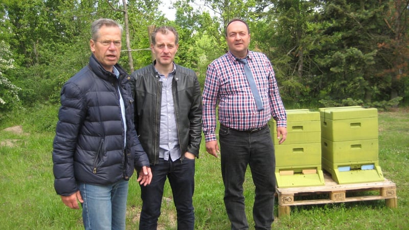 Der Golf Klub Braunschweig will weiterhin den Bienen auf dem Golfplatz eine Heimat und Wirkungsstätte geben. (Bild: GK Braunschweig)