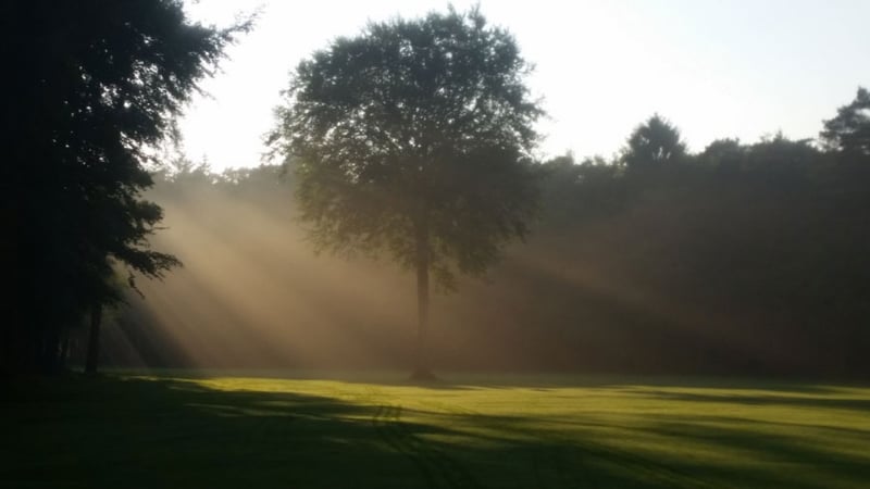 Die Damenmannschaft des Oldenburgischer GC strebt den Wiederaufstieg an. (Bild: Oldenburgischer GC)