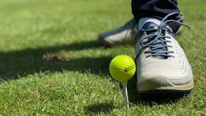 Ein ganzes Golfjahr zusammen mit Ecco - der Zwischenbericht. (Foto: Instagram: @golfblog_putterkoenig)