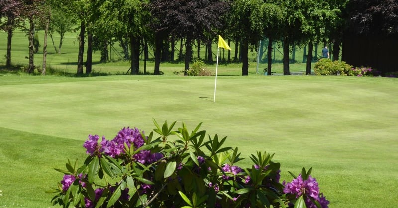 Die Mannschaft des Golf&More Duisburg ist beim Willy-Schniewind-Mannschaftspokal leider vom Pech verfolgt. (Bild: Golf&More Duisburg)