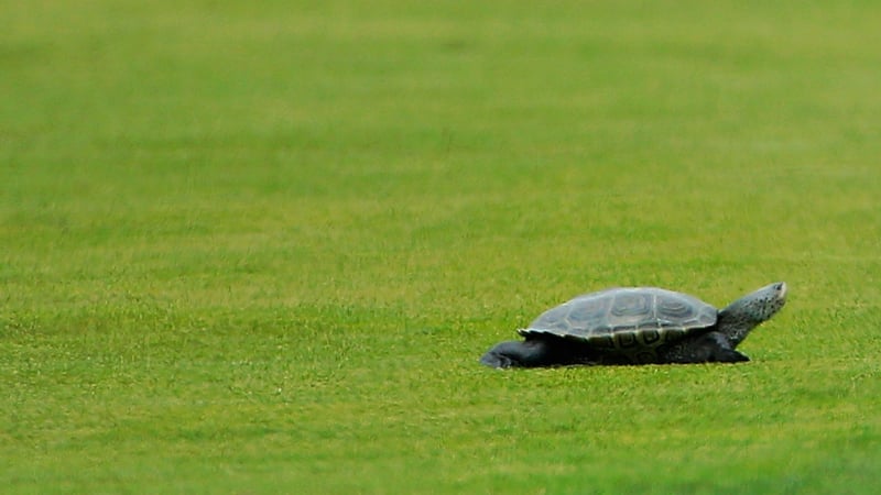 Für die Saison 2020 hat die European Tour einen 4-Punkte-Plan gegen Slow Play entwickelt. (Foto: Getty)