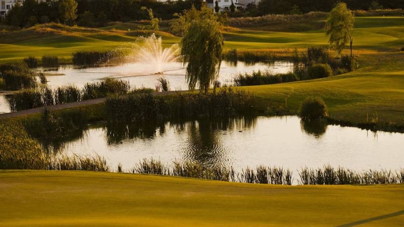 Der Kölner Golfclub legt einen hohen Wert auf auf eine Platzpflege ohne Chemie. (Foto: Kölner Golfclub)