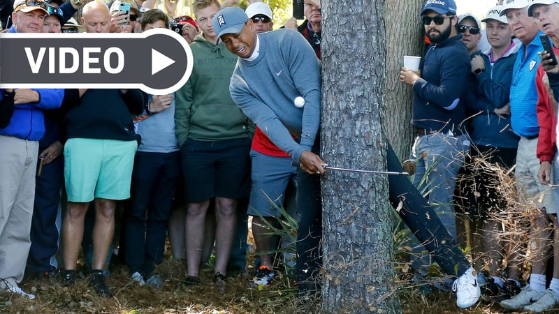 Tiger Woods sorgt immer wieder mit spektakulären Rettungsaktionen für Begeisterung bei seinen Fans. (Foto: Getty)