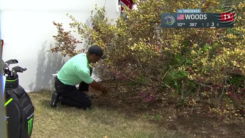 Gärtnern oder Golfen? Tiger Woods kombiniert beides zu einem genialen Schlag. (Foto: Youtube Screenshot/ PGA TOUR)