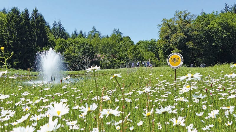 Der Deustche Golf Verband setzt zunehmend auf das Thema Biodiversität, um sich gesellschaftlich zu etablieren. (Foto: DGV)