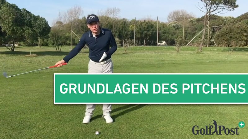 Pauly Der: Grundlagen beim Pitchen