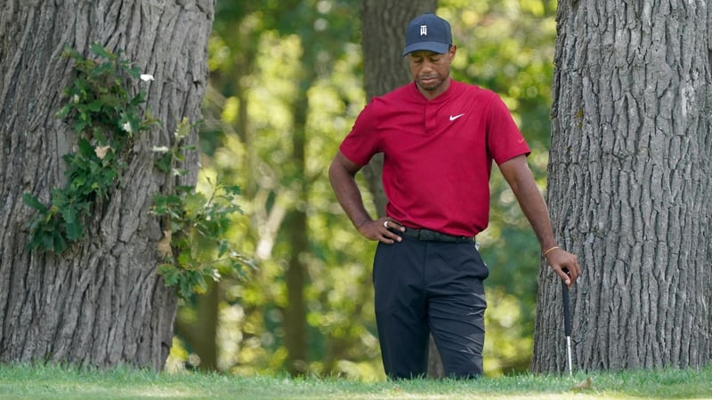 Tiger Woods über ein 