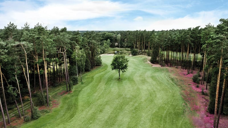 Der Golfclub St. Dionys in der Lüneburger Heide. (Foto: Gerrit Kleinfeld)