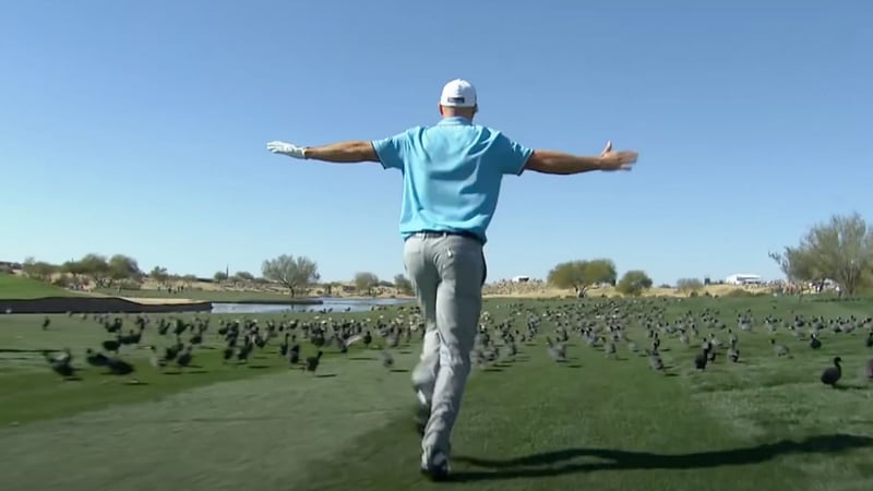 Gelegentlich sieht man auf der PGA Tour Birdies und Eagles der anderen Art (Foto: youtube.com/pgatour)