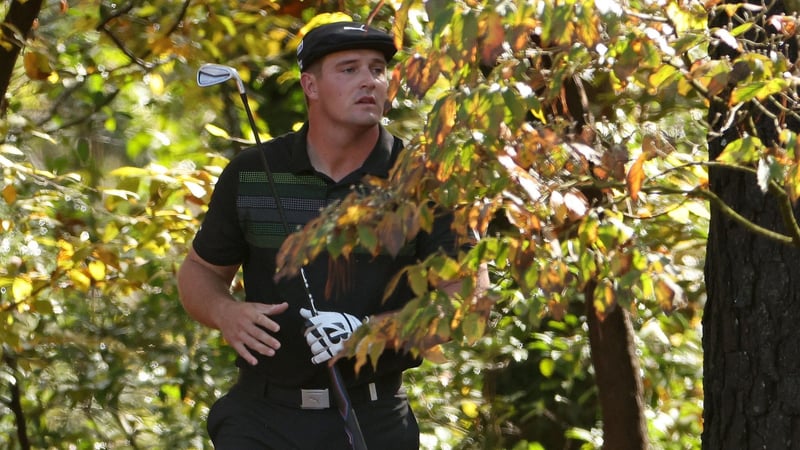 US Masters 2020: Bryson DeChambeau im Gestrüpp des Augusta National. (Foto: Getty)