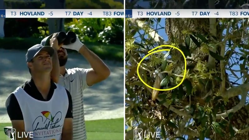 Hobby-Ornithologe Jason Day. (Foto: Twitter.com/PGATour)