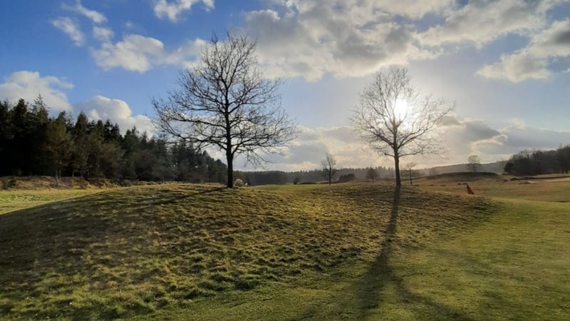 Golfplatz Lohersand: Wanderdünen, Heide und einen königlichen Pinkelbaum