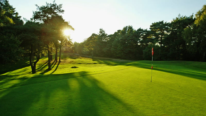 Die Fernmitgliedschaft ist eine Erfolgsstory des deutschen Golfs. (Foto: Getty)