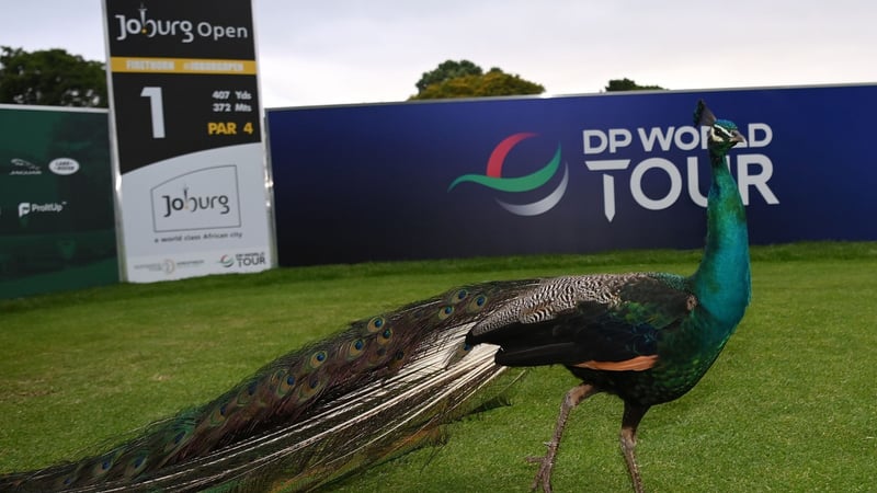 Startschuss für die DP World Tour bei der Joburg Open. (Foto: Getty)