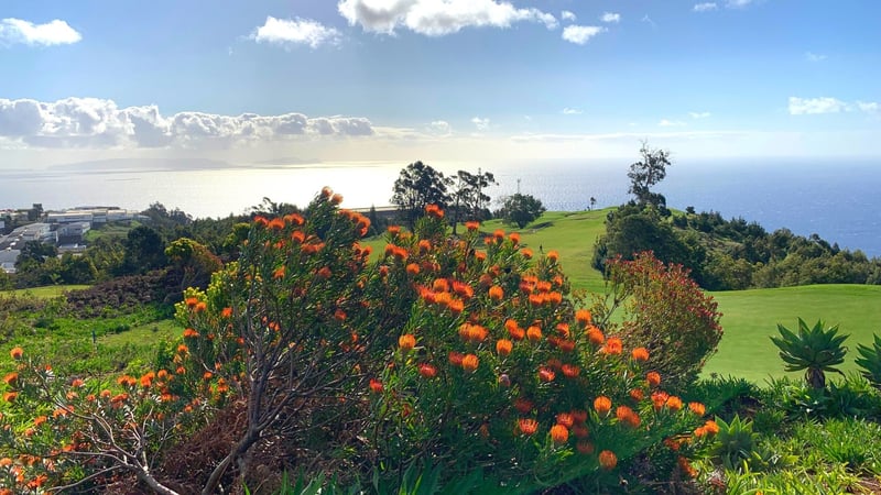 Der Palheiro Golf Club auf Madeira ist rund ums Jahr bespielbar. (Foto: Golf Post)