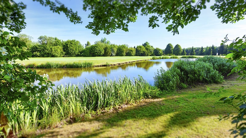 Der Golf Club Verden richtet ein Q-School-Turnier zur Pro Golf Tour aus. (Foto: Getty)