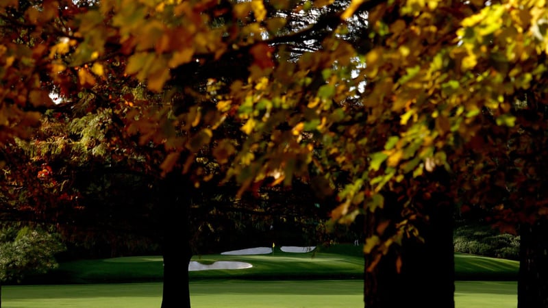 So funktioniert die Fall Series der PGA Tour. (Foto: Getty)