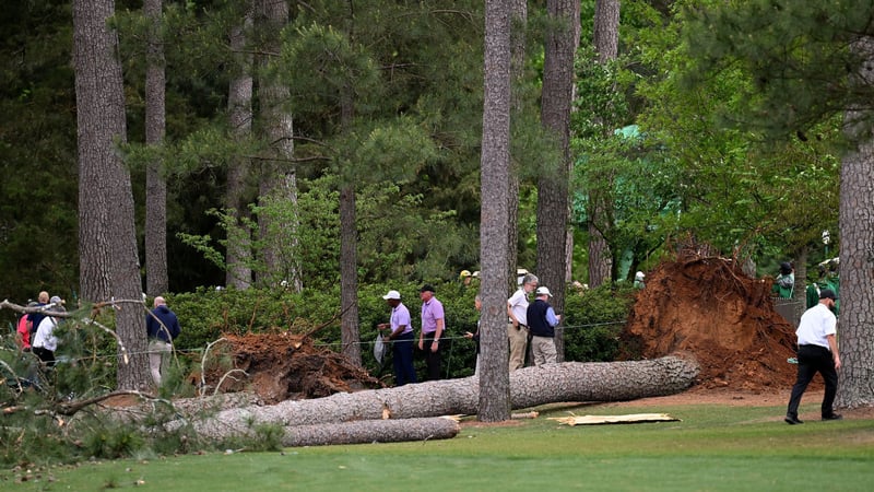 Bäume stürzen beim US Masters 2023 in der Nähe von Loch 17. (Foto: Getty)