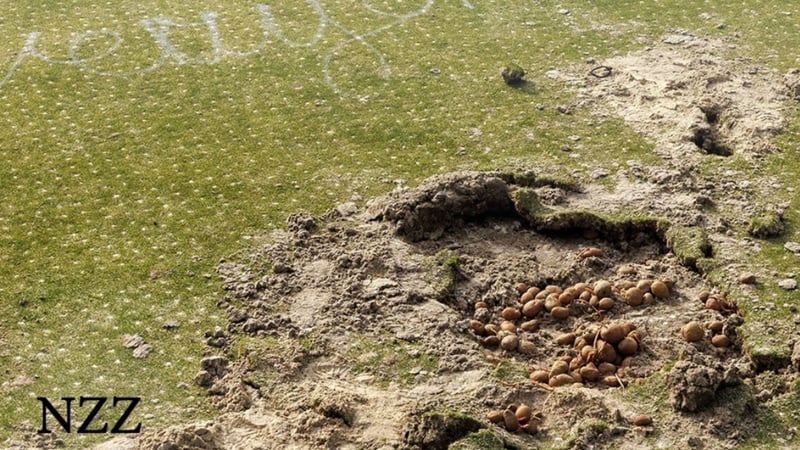 Kartoffeln mitten auf dem Golfplatz als Zeichen für die Landwirtschaft. (Foto: Instagram/@nzz)