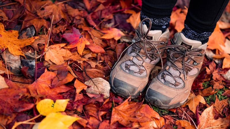 Die Herbst- und Winterstiefel der Saison 2023 im Überblick. (Foto: Unsplash)