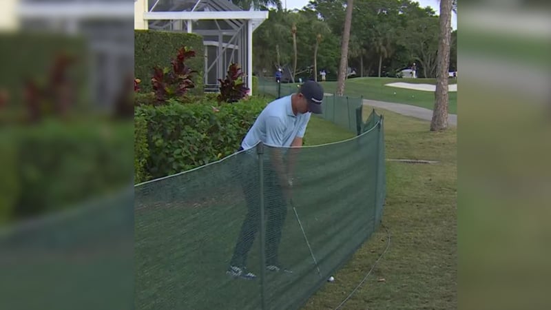 Der Ball von Justin Rose befindet sich in prekärer Lage. Was sagen die Golfregeln? (Foto: @PGA Tour/X)