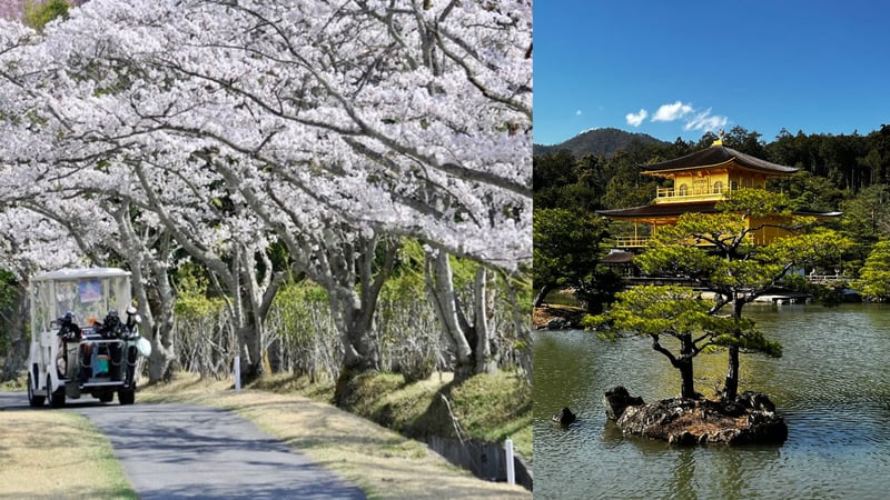 Cherry Blossom (Sakura) im Kyoto Golf Club (Foto: Kyoto Golf Club) und Goldener Pavillon in Kyoto (Fotos: Jürgen Linnenbürger)