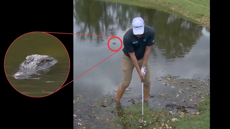 Vince Whaley bei der Sanderson Farms Championship der PGA Tour. (Foto: X.com/@PGATour)
