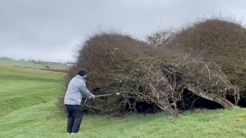 (Foto: X.com/@Dannygray21)