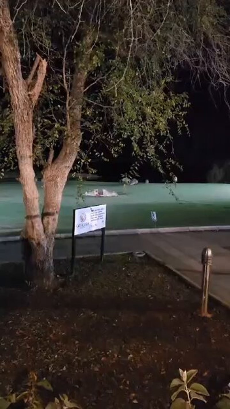 Löwen, Hyänen und Krokodil auf dem Golfplatz im Kruger Nationalpark - (@AndrewRiceGolf)