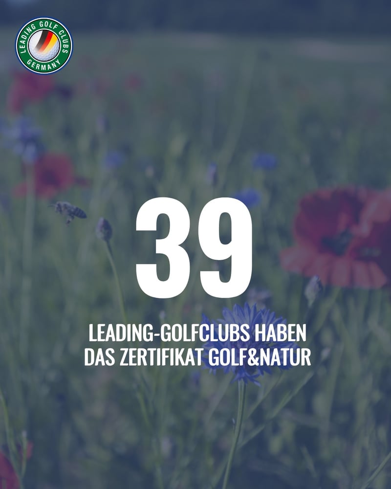 https://www.instagram.com/golfclubulm/Golf Club Ulm erhält zum sechsten Mal Gold für Nachhaltigkeit
