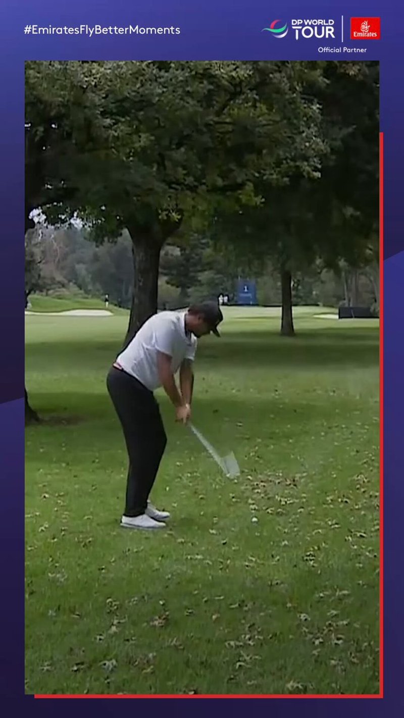 Fast Loch aus den Bäumen bei der DP World Tour - (@DPWorldTour)