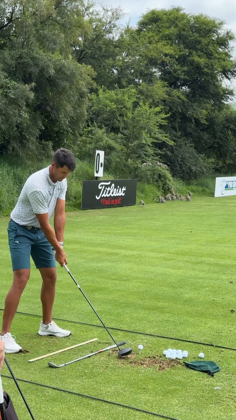 Johannes Veerman startet als Titelverteidiger in die DP World Tour Saison 2025 - (@DPWorldTour)