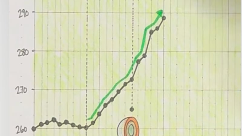 (Foto: Instagram.com@_sportsball)