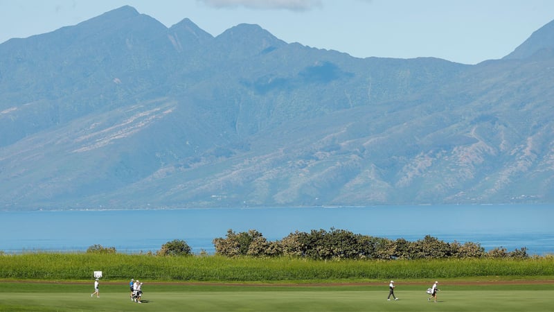 Die wunderschöne Kulisse des Plantation Courses bleibt der PGA Tour dieses Jahr verwehrt. (Foto: Getty)