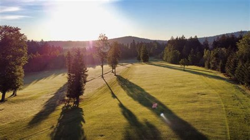 Fernmitgliedschaft – Vorteile und Nachteile