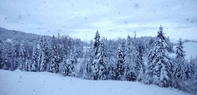 Der Deggendorfer GC e.V. im Porträt.