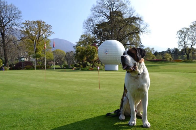 Der GC Patriziale Ascona – wie bitte? In der Schweiz gibt es doch gar keinen Adel!