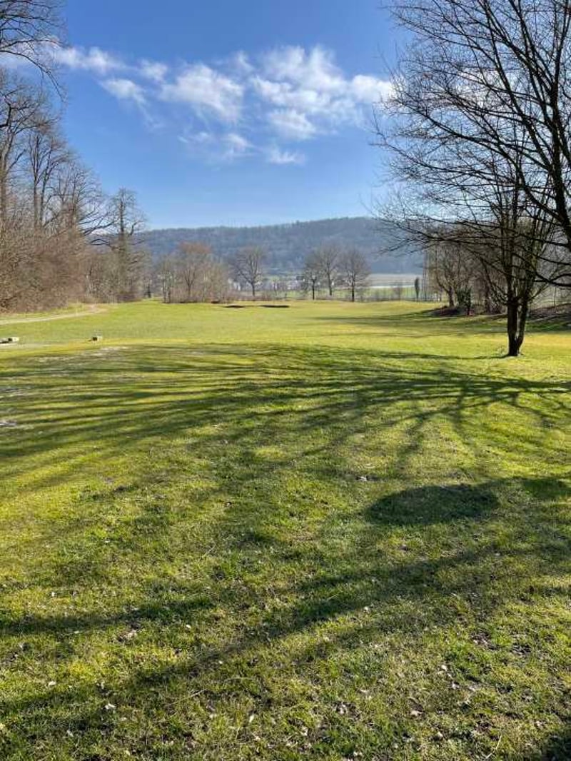 Training, Übung und Spiel