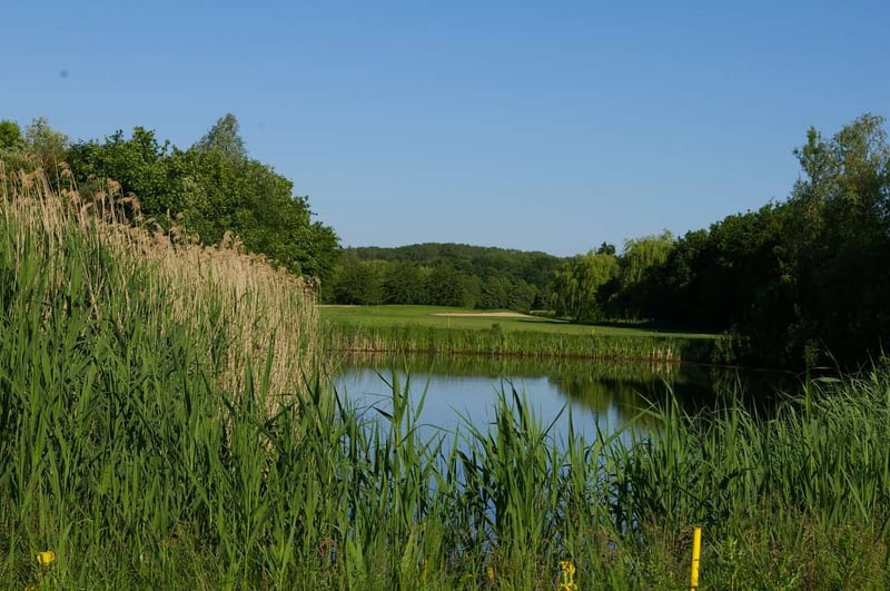 Vorbericht zur Golf Post Tour 2023 | Peiner Hof