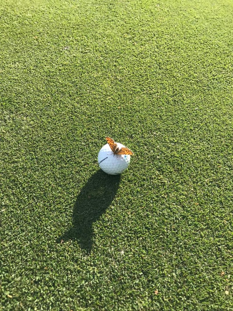 Wenn alles anders ist …