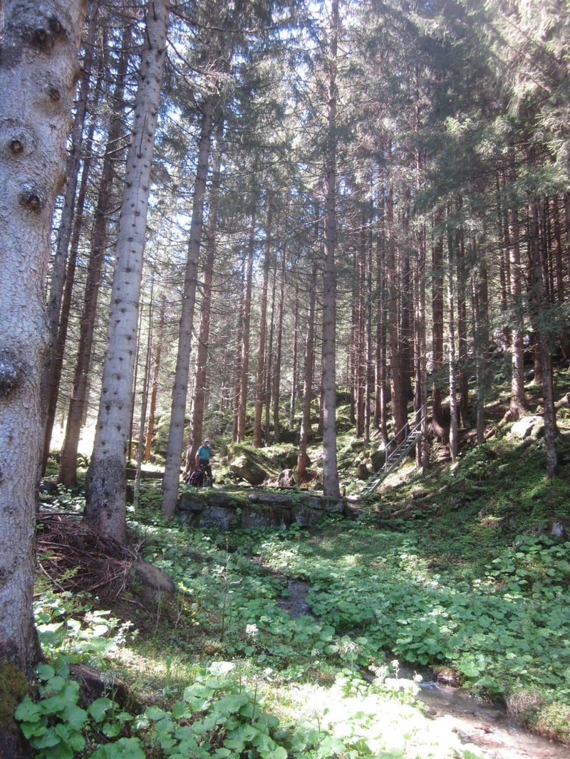 Wenn alle Wege nicht nach Rom führen, dann ins Montafon.