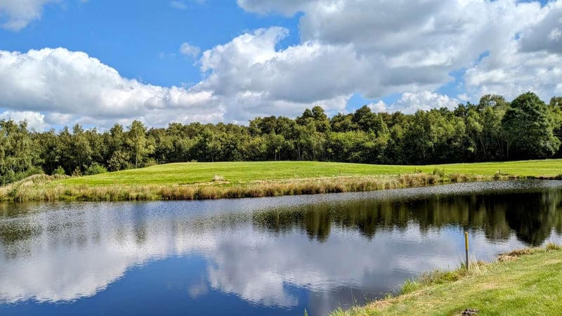Golfen im Blauen Fasan Golf – Ostfriesland