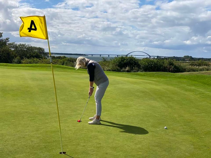 Willkommen im echten harten Norden