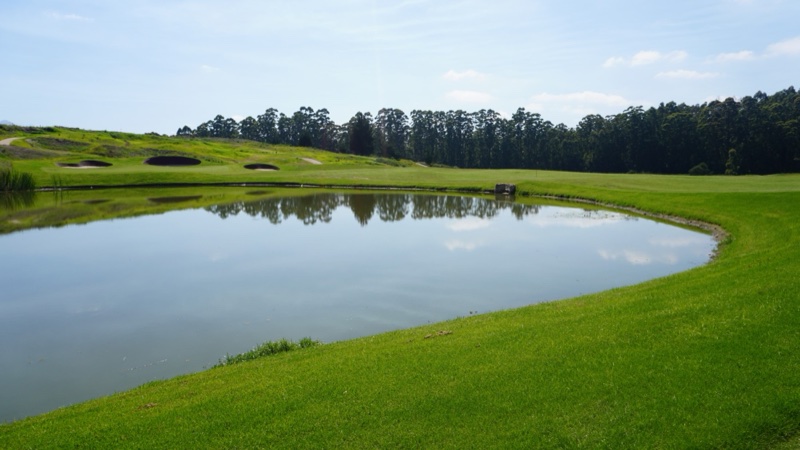 The Links Experience